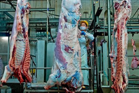 abator carne de vita o 1