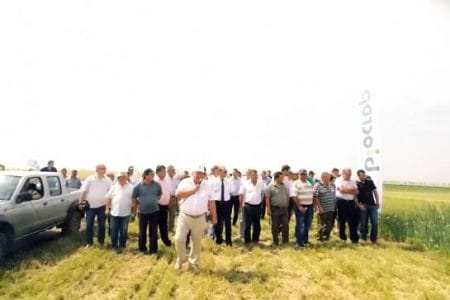 agrichim fetesti o 1
