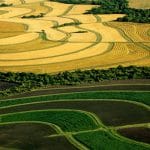 agricultura ecologica o