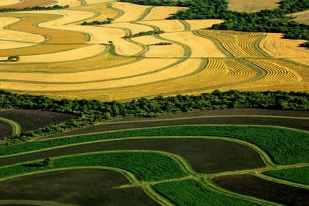 agricultura ecologica o