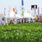 agriplanta 3 107 o 1