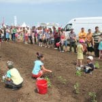 agriplanta 3 256pr o 1