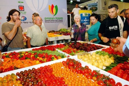 agro mashov o 1