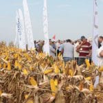 agroind cauaceu 2014 o 1