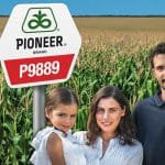 agroinfo corteva pioneer p9889 o