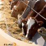 agroinfo seminar o 1