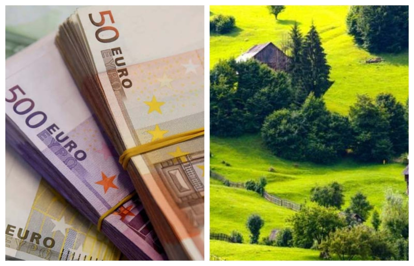 Fermierilor li se pregătește un ajutor de până la 50.000 euro!