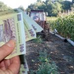 ajutor lei ferma o