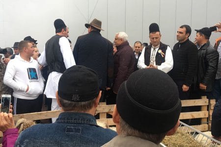 alege oaia sibiu 7 o