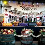 ansamblul folcloric topoloveni o 1