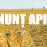 apia anunt o