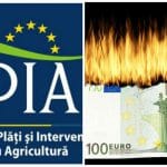 apia colaj seceta o