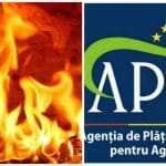 apia in flacari o 1
