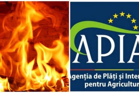apia in flacari o 1