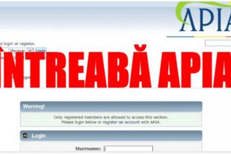 apia intrebari o