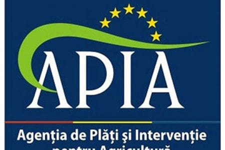 apia sigla o 1