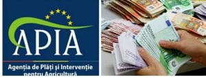 apia subventii de platit o
