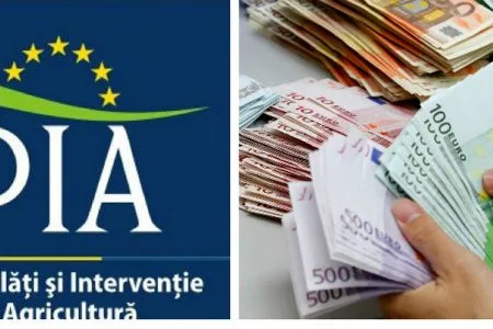 apia subventii de platit o