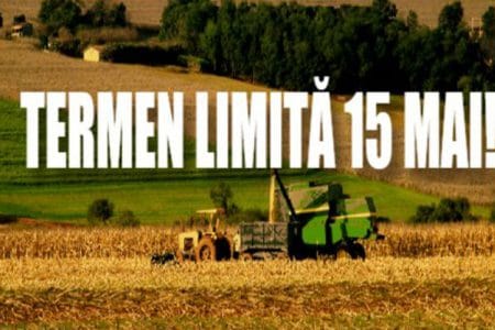 apia termen o