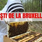 apicol propuneri o