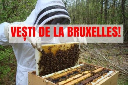 apicol propuneri o