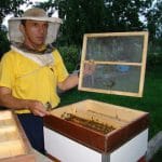 apicultor la lucru o 1