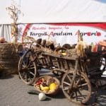 apulum agraria 2011 o 1