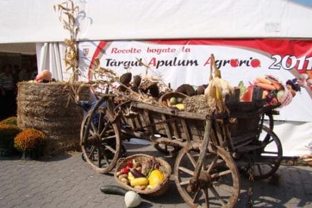 apulum agraria 2011 o 1