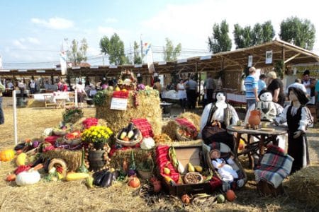 apulum agraria 2015 o