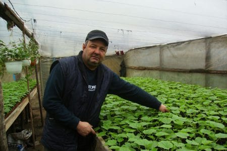aurel lupu o