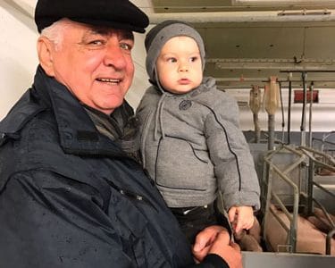 balcan vasile o