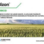 banner bizon o
