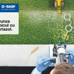 basf revycare protejeaza frunza stindard si spicul o