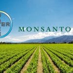 bayer monsanto fuziune o