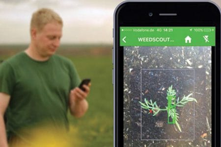 bayer weedscout o
