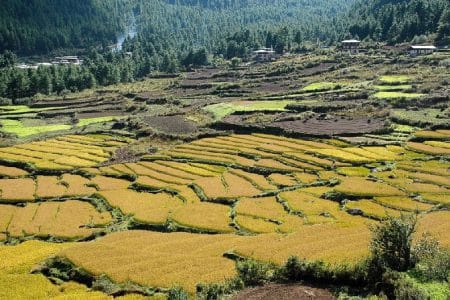 bhutan o 1