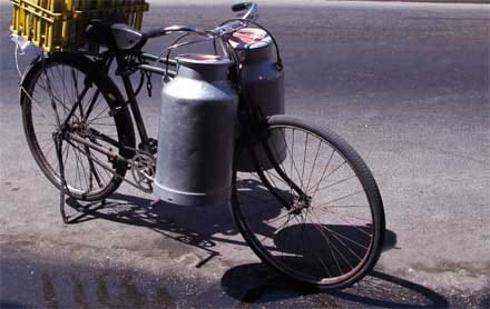 bidoane lapte o 1