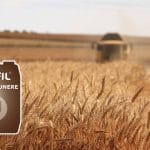 biofil descompunere o