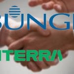 bunge vititerra o