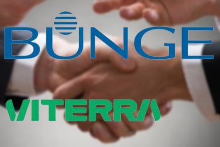 bunge vititerra o