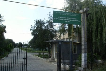 buzau staiune o