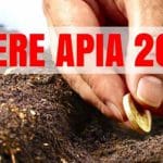 camp apia 2018 o