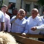 campean daea lelior o 1