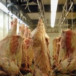 carcase vita o 1