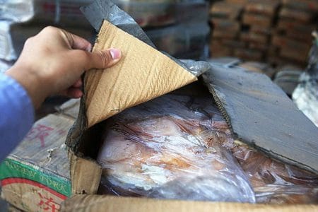 carne congelata expirata o 1
