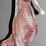 carne miel o 1