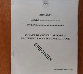 carnet1 o 1