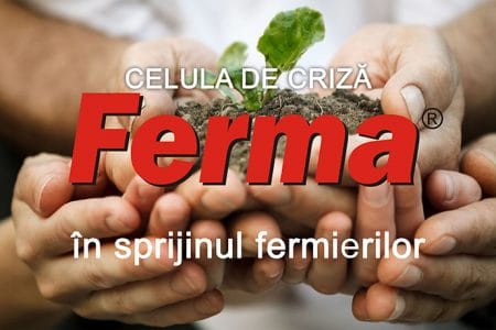 celula de criza ferma o