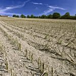 cercetare agricola teren o 1
