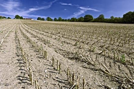 cercetare agricola teren o 1